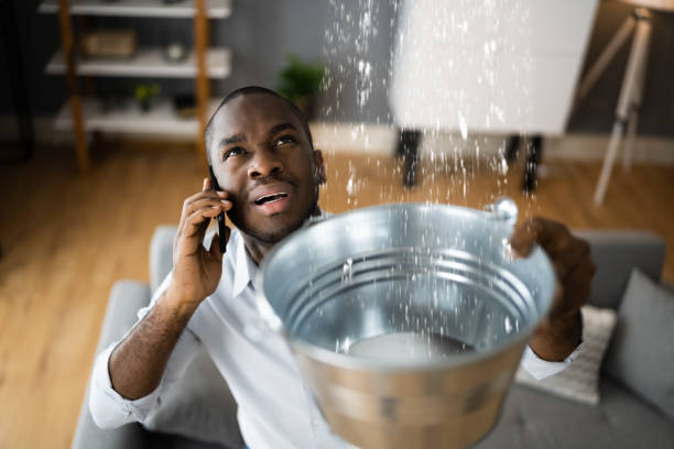 Best Ceiling water damage repair  in Columbus Grove, OH