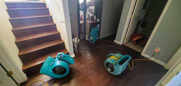 Best Residential water damage restoration  in Columbus Grove, OH