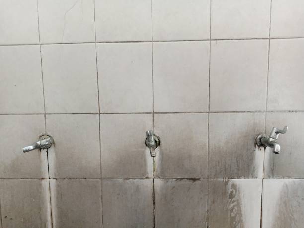 Best Flood restoration services  in Columbus Grove, OH