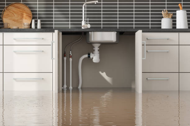 Best Water damage contractors near me  in Columbus Grove, OH