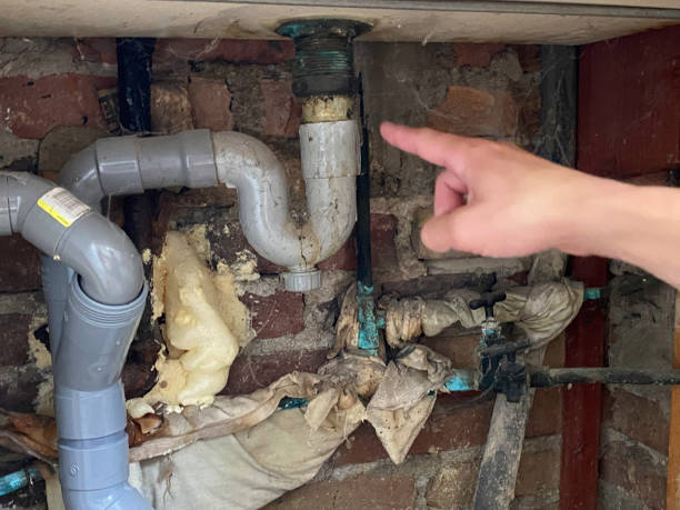 Professional Water damage restoration in Columbus Grove, OH