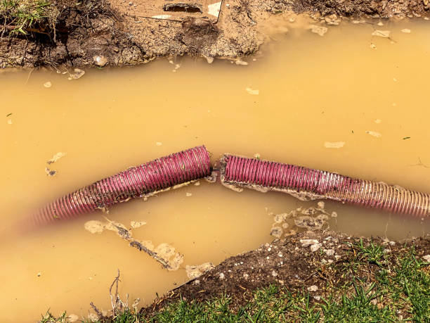 Best 24-hour water damage restoration  in Columbus Grove, OH