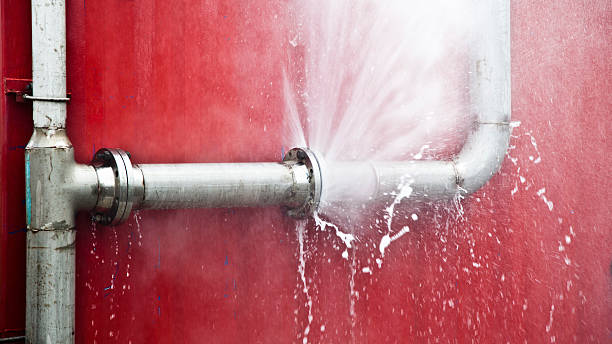 Best Carpet water damage restoration  in Columbus Grove, OH